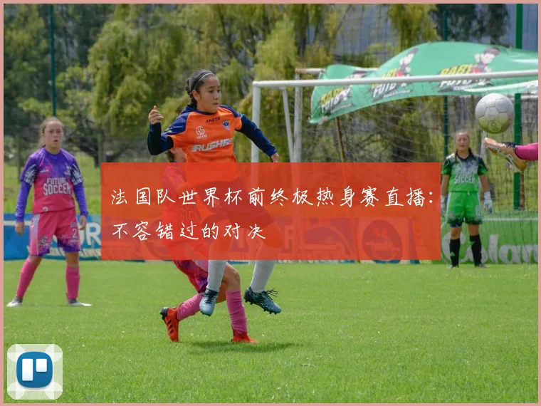 法国队世界杯前终极热身赛直播:不容错过的对决